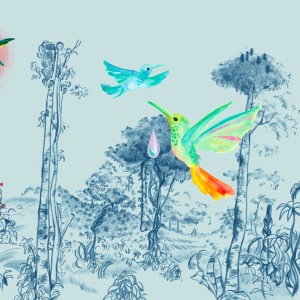 bird_package