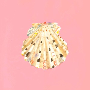 seashell_scallop