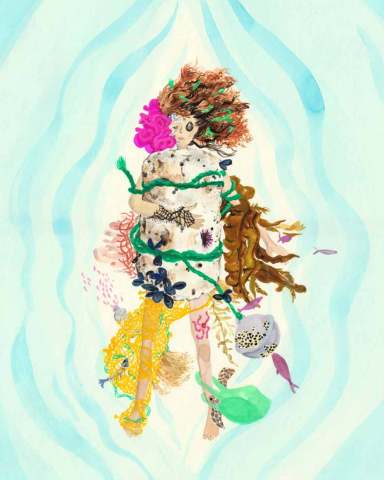 Plastic Ocean Contamination